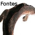 GilFontes